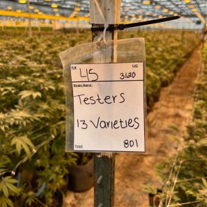 Signs like this provide quick information at the start of every row. Photo taken at Pacific Reserve Nursery.