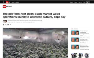 CNN image of illegal grow.